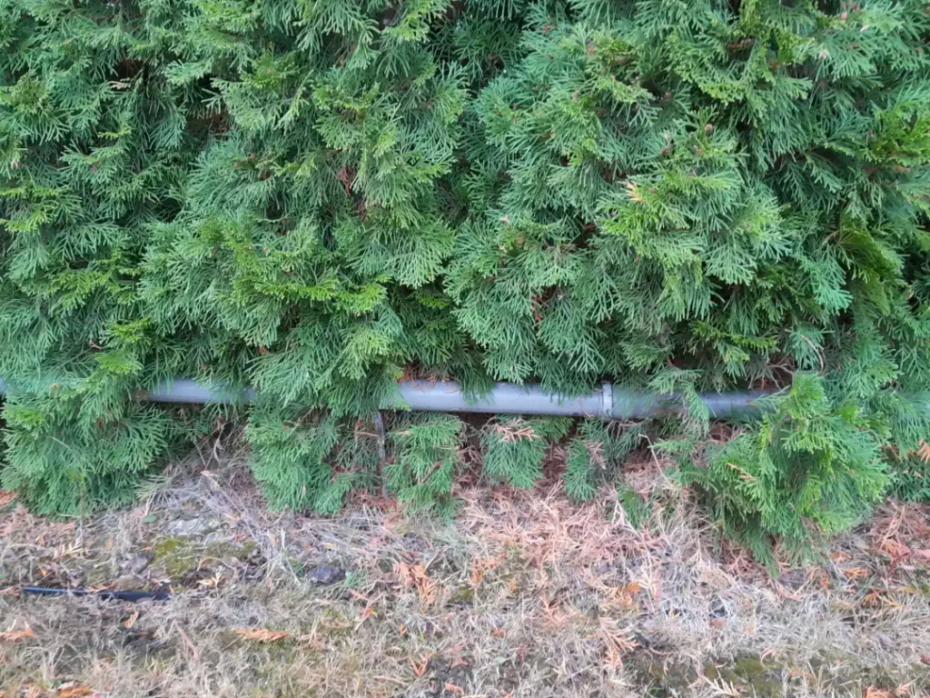 Nowoczesna oczyszczalnia przydomowa w Lubartowie – kompleksowa realizacja pod klucz.