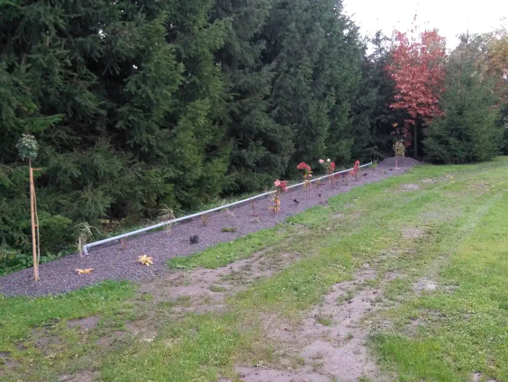 Montaż przydomowej oczyszczalni ścieków w Zamościu